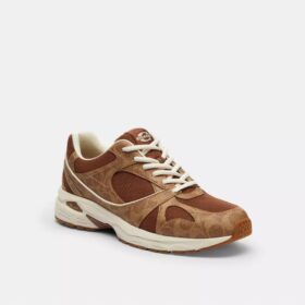 Baskets de sport en Signature Canvas