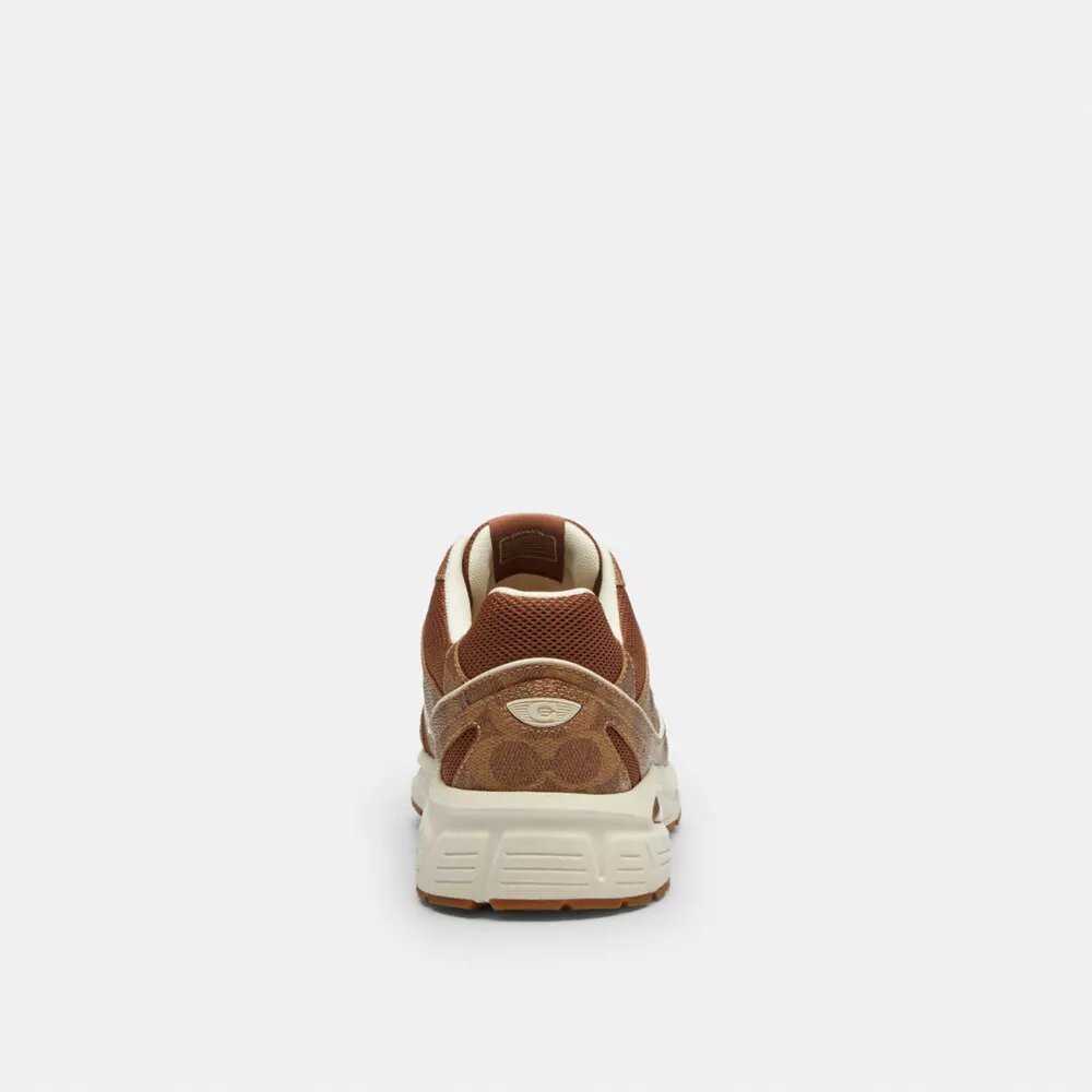 Baskets de sport en Signature Canvas