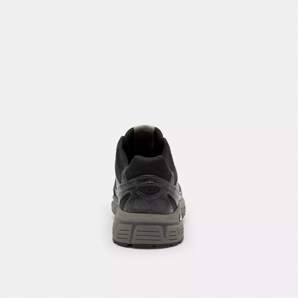 Baskets de sport en Signature Canvas