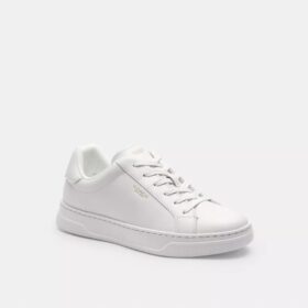 Baskets montantes