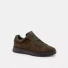 Baskets montantes