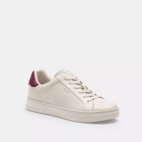 Baskets montantes