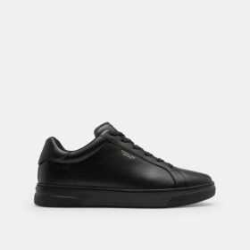 Baskets montantes