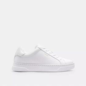 Baskets montantes
