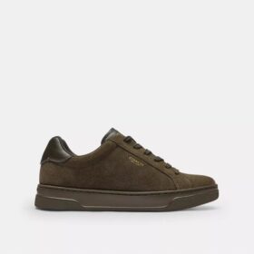 Baskets montantes