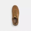 Baskets montantes