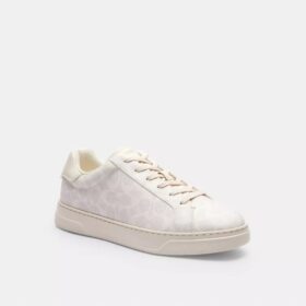 Baskets montantes en Signature Canvas