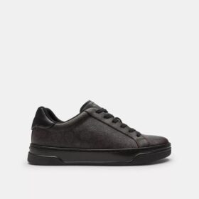 Baskets montantes en Signature Canvas