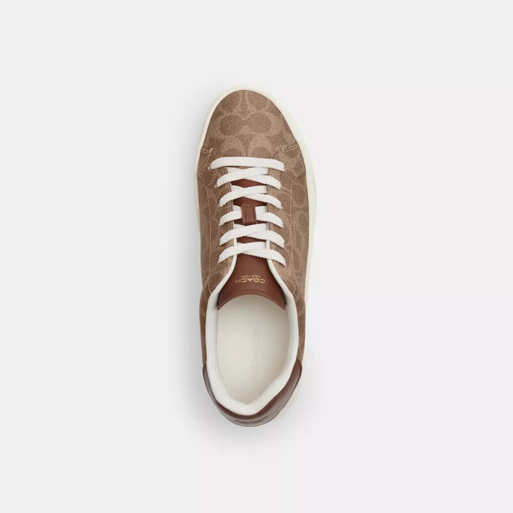 Baskets montantes en Signature Canvas