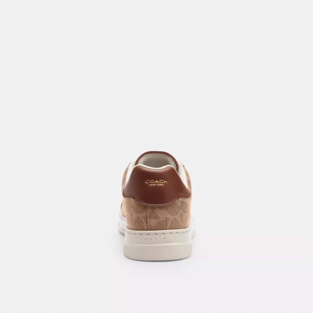 Baskets montantes en Signature Canvas