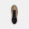 Baskets montantes High Line en Signature Canvas