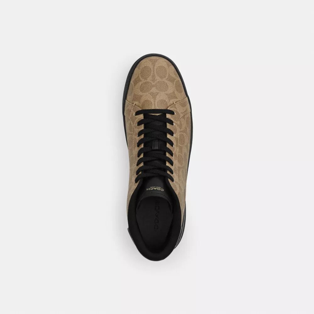 Baskets montantes High Line en Signature Canvas