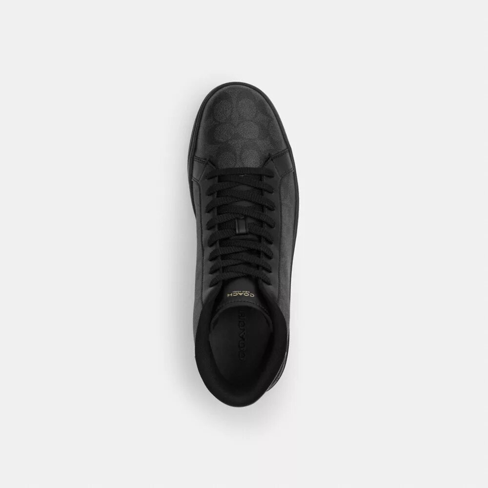 Baskets montantes High Line en Signature Canvas