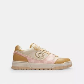 Baskets Soho avec signature vernie