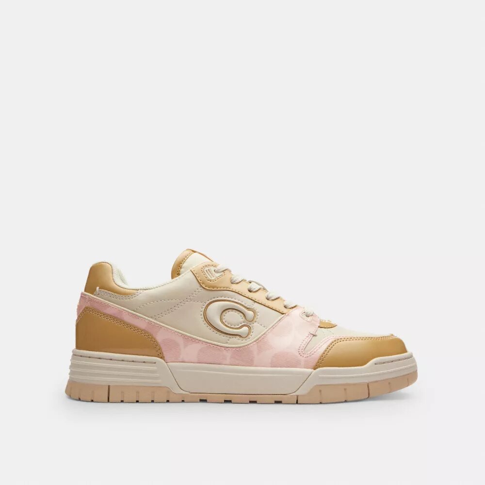 Baskets Soho avec signature vernie