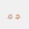 Boucles d’oreilles à clous « Halo Tea Rose »