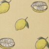 Carnet à motifs de citrons