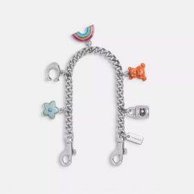 Chaîne Swagger argentée avec Charms