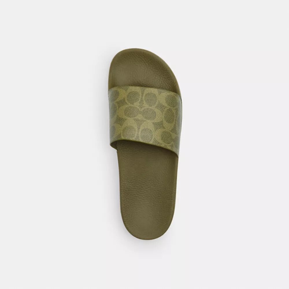 Claquettes de sport Signature Canvas