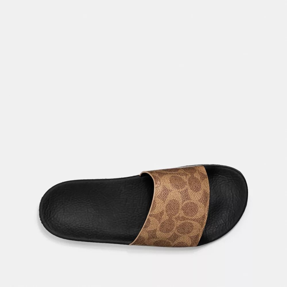 Claquettes de sport Signature Canvas
