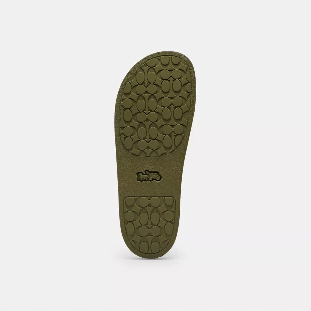 Claquettes de sport Signature Canvas