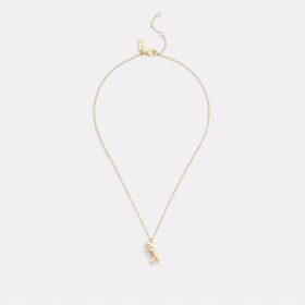 Collier avec pendentif Rexy squelettique