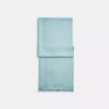 Couverture jumbo pour Horse and Carriage