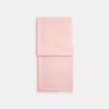 Couverture jumbo pour Horse and Carriage