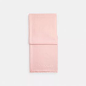 Couverture jumbo pour Horse and Carriage