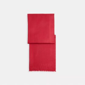 Couverture jumbo pour Horse and Carriage