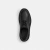 Derbies Cameron en cuir Signature
