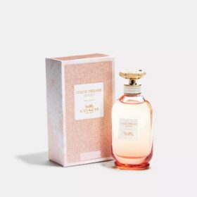 Eau de parfum Dreams Sunset 90 ml