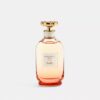 Eau de parfum Dreams Sunset 90 ml