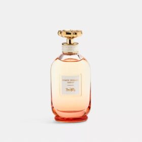 Eau de parfum Dreams Sunset 90 ml