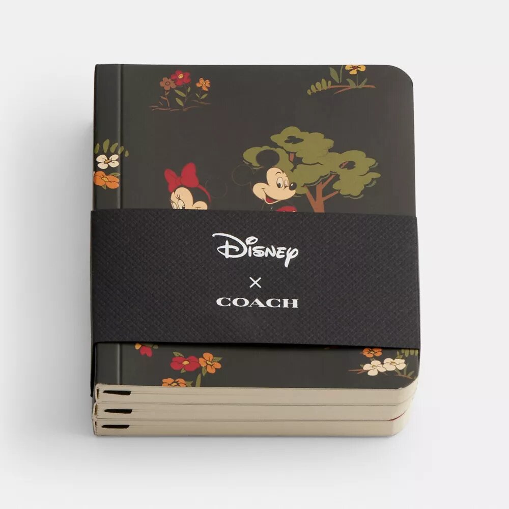 Ensemble de mini-carnets Disney X Coach avec Mickey Mouse et ses amis
