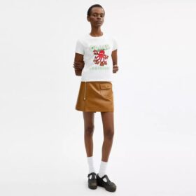 Hauts Coach