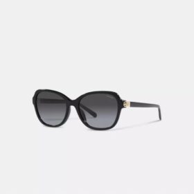 Lunettes de soleil carrées à charnières « Horse and Carriage »