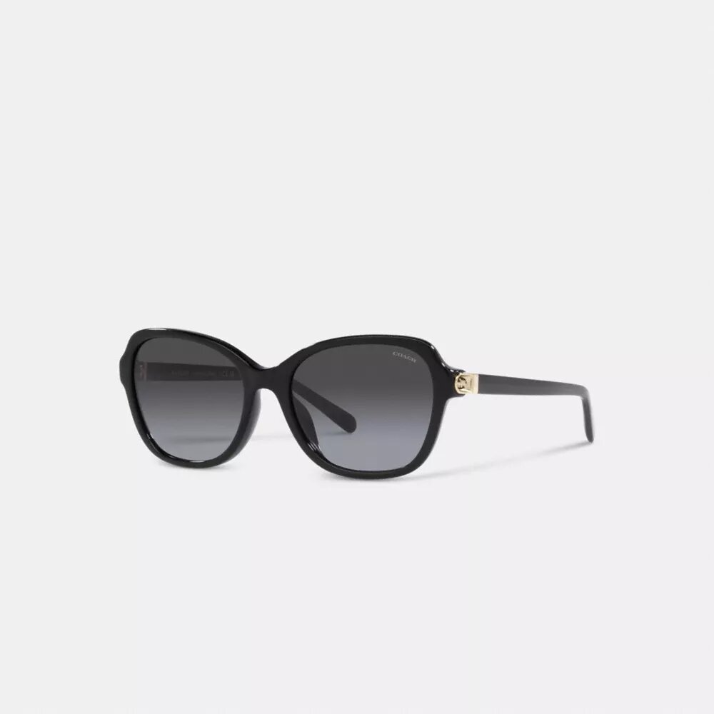 Lunettes de soleil carrées à charnières « Horse and Carriage »