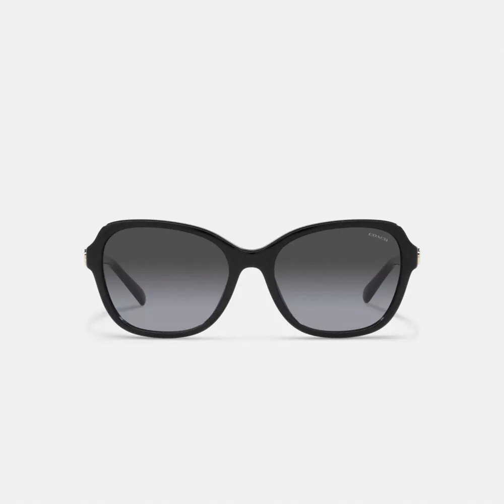 Lunettes de soleil carrées à charnières « Horse and Carriage »
