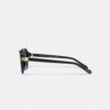 Lunettes de soleil carrées à charnières « Horse and Carriage »