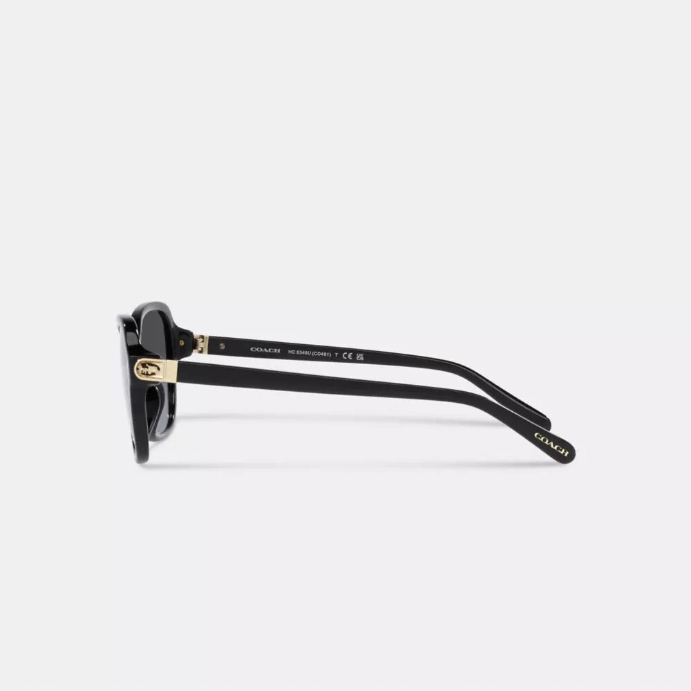 Lunettes de soleil carrées à charnières « Horse and Carriage »