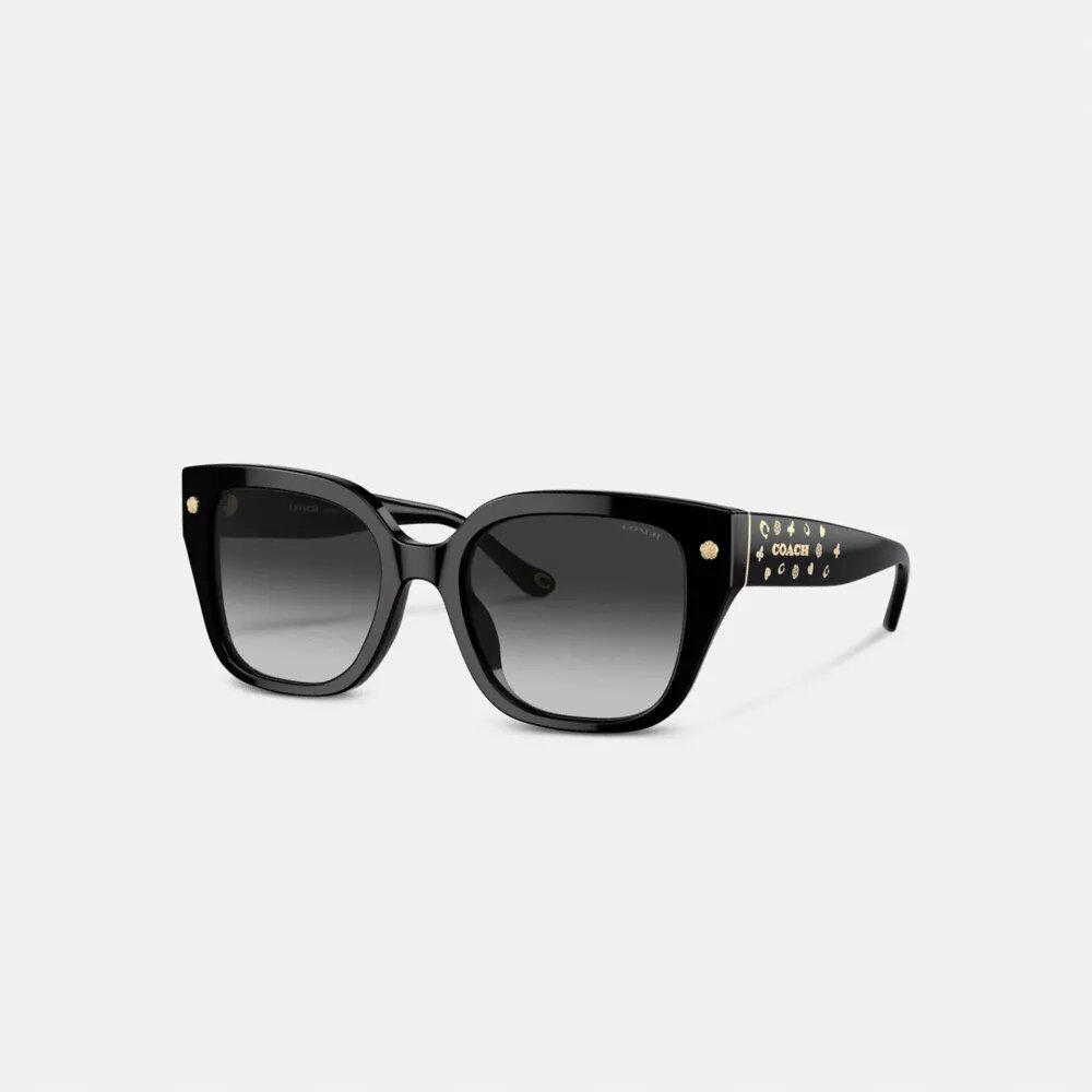 Lunettes de soleil carrées oversize « Charms »