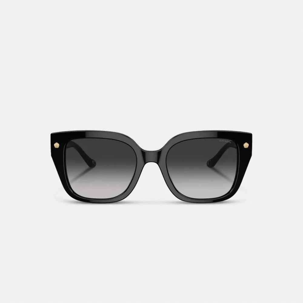 Lunettes de soleil carrées oversize « Charms »