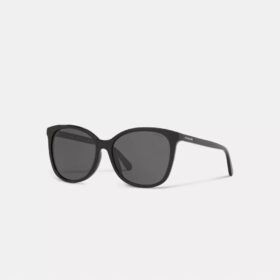 Lunettes de soleil carrées Signature Workmark