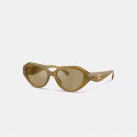 Lunettes de soleil géométriques avec détails « C »