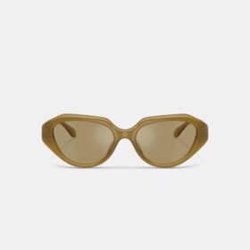 Lunettes de soleil géométriques avec détails « C »