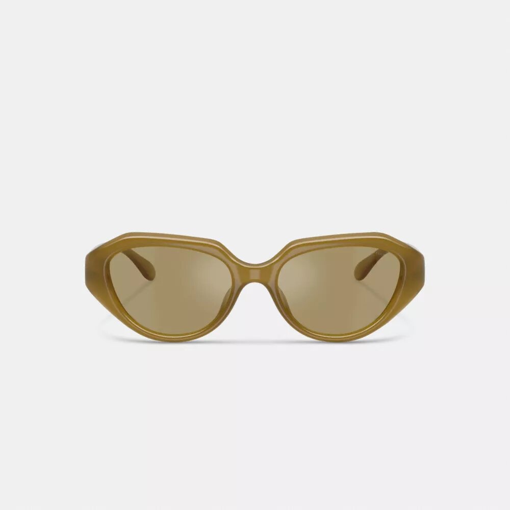 Lunettes de soleil géométriques avec détails « C »