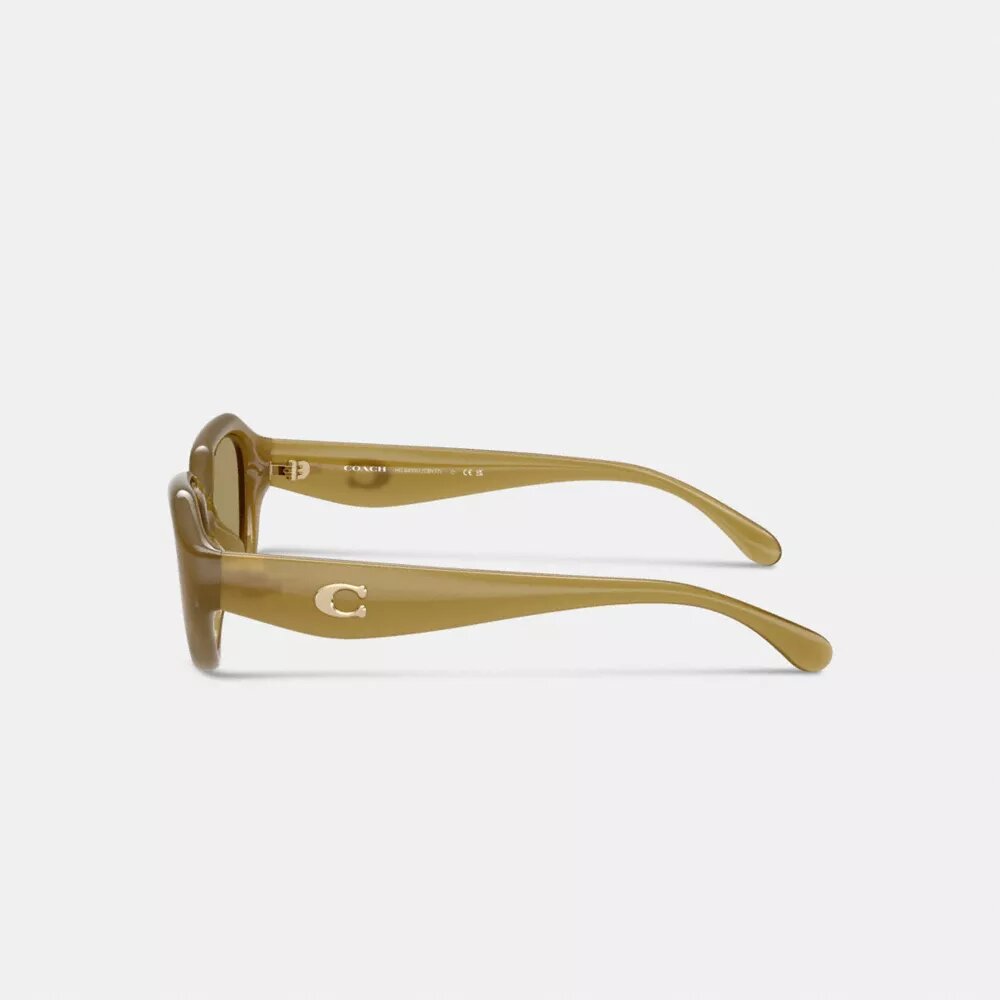 Lunettes de soleil géométriques avec détails « C »