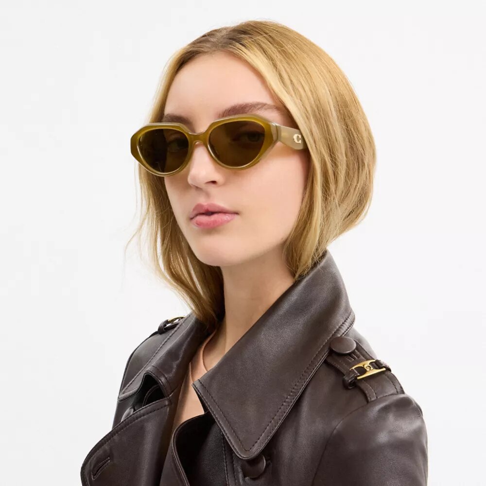 Lunettes de soleil géométriques avec détails « C »