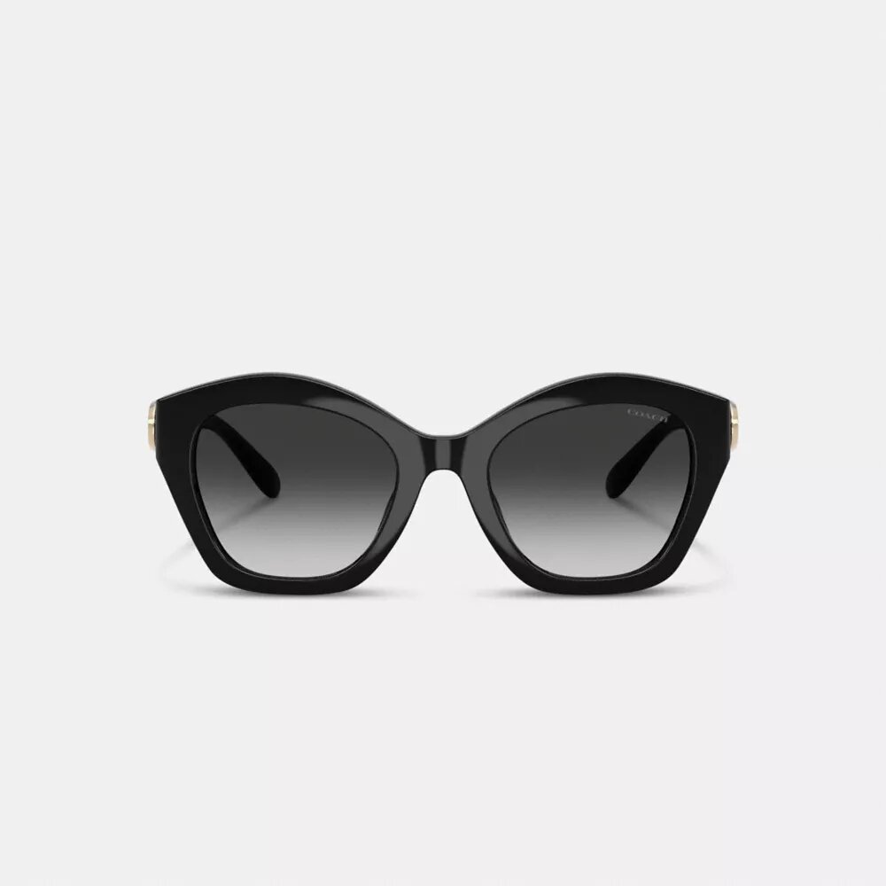 Lunettes de soleil géométriques oversize « Maxi Sculpted C »